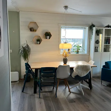 Apartment 4-room With Balcony Trondheim